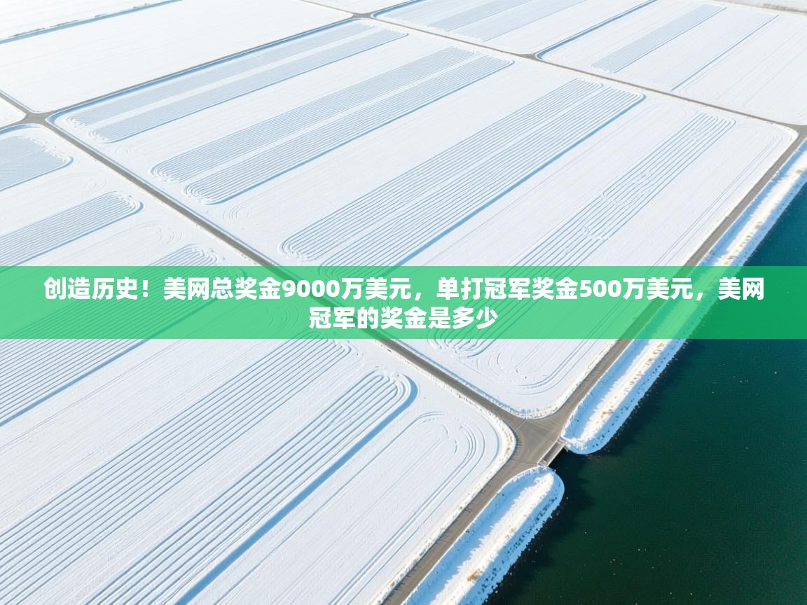 乐动体育平台-创造历史!美网总奖金9000万美元,单打冠军奖金500万美元,美网冠军的奖金是多少 第3张