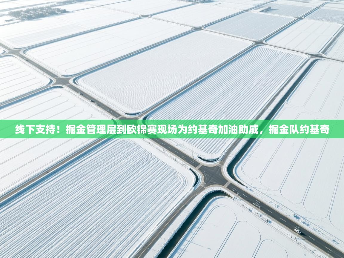 乐动体育app入口ld体育官方入口-线下支持！掘金管理层到欧锦赛现场为约基奇加油助威，掘金队约基奇  第2张