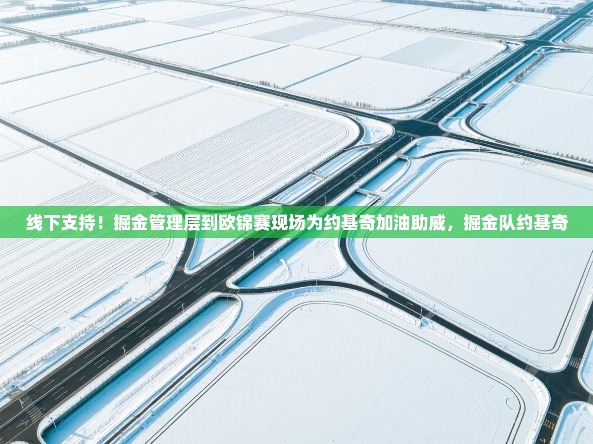 乐动体育app入口ld体育官方入口-线下支持！掘金管理层到欧锦赛现场为约基奇加油助威，掘金队约基奇  第1张