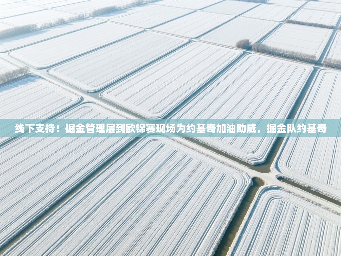 乐动体育app入口ld体育官方入口-线下支持！掘金管理层到欧锦赛现场为约基奇加油助威，掘金队约基奇  第3张