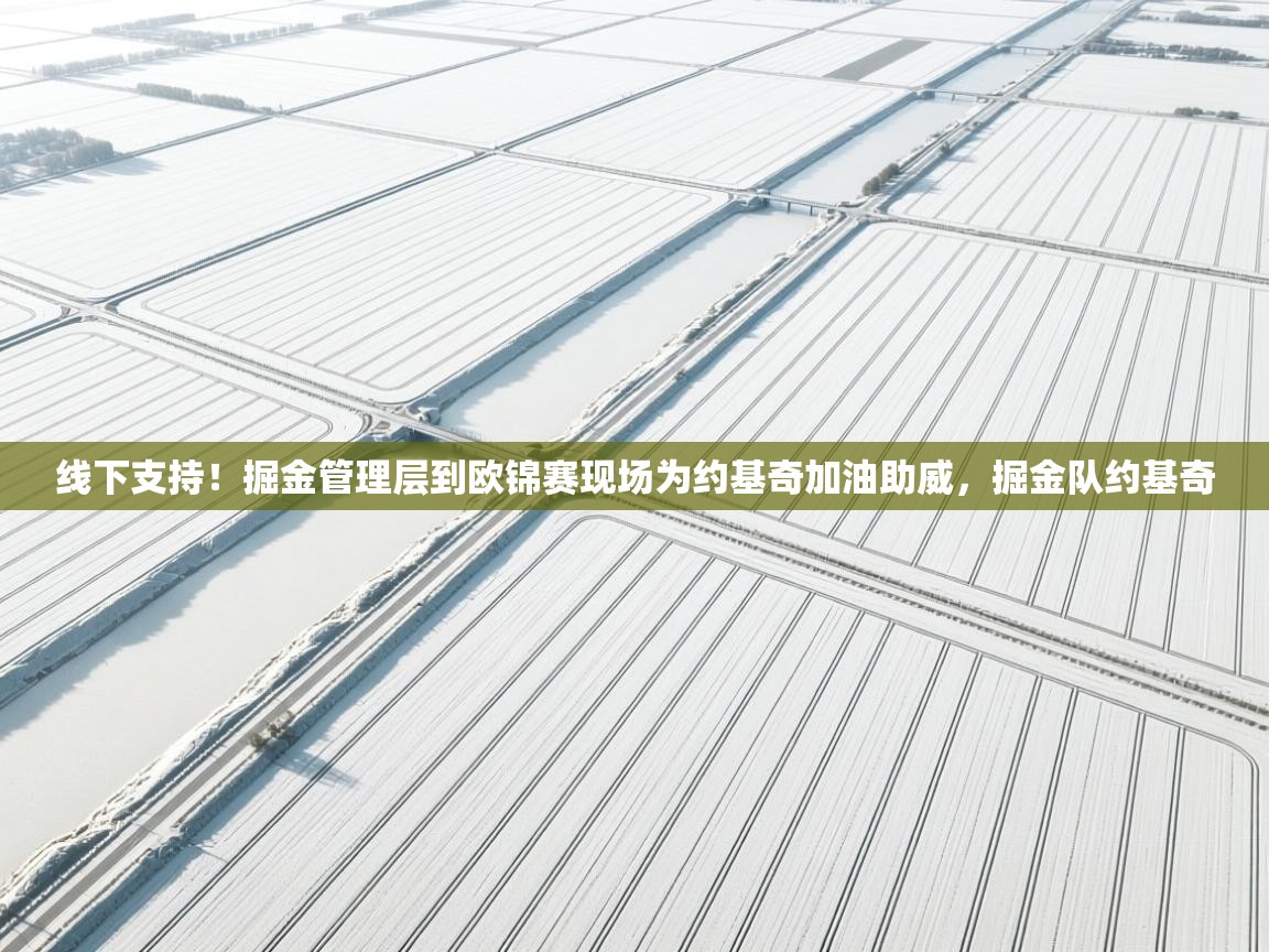 乐动体育app入口ld体育官方入口-线下支持！掘金管理层到欧锦赛现场为约基奇加油助威，掘金队约基奇  第4张