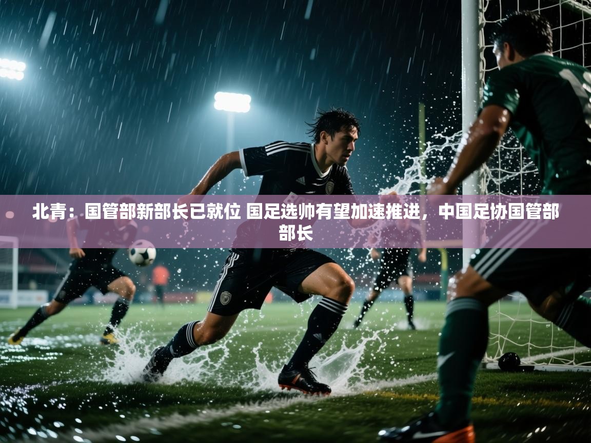 乐动体育赞助商-北青：国管部新部长已就位 国足选帅有望加速推进，中国足协国管部部长