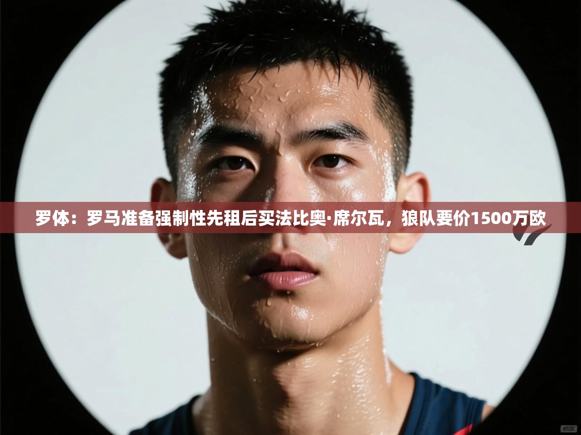 乐动体育官网登录平台-罗体:罗马准备强制性先租后买法比奥·席尔瓦,狼队要价1500万欧 第3张