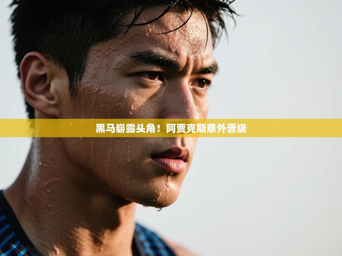 乐动体育注册-黑马崭露头角！阿贾克斯意外晋级