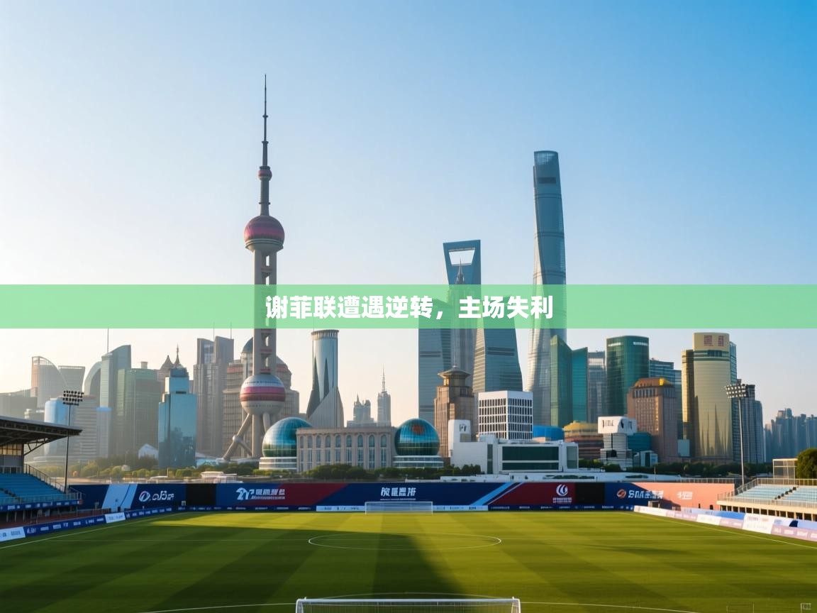 乐动体育官网-谢菲联遭遇逆转，主场失利